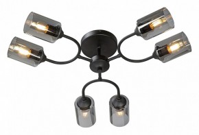 Потолочная люстра Vitaluce V2823 V2823-1/6PL в Когалыме - kogalym.ok-mebel.com | фото 2