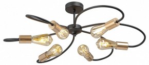 Потолочная люстра Vitaluce V3076 V3076-1/6PL в Когалыме - kogalym.ok-mebel.com | фото 3