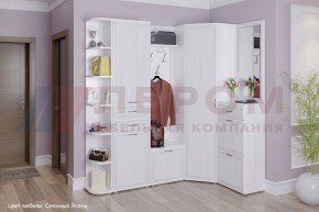 Прихожая Карина композиция 5 (Снежный ясень) в Когалыме - kogalym.ok-mebel.com | фото