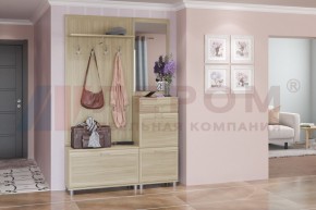 Прихожая Мелисса композиция 8 (Ясень Асахи) в Когалыме - kogalym.ok-mebel.com | фото