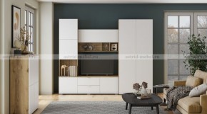 МИЛАН-1 Секция ТВ (ЦРК.МЛН.01 секция ТВ) в Когалыме - kogalym.ok-mebel.com | фото 3