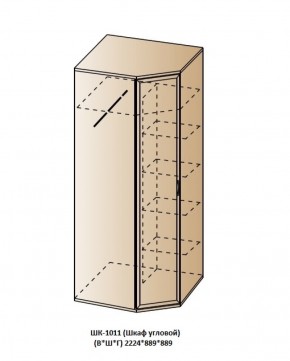 ШК-1011 (Шкаф угловой) в Когалыме - kogalym.ok-mebel.com | фото