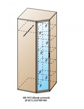 ШК-1012 (Шкаф угловой) в Когалыме - kogalym.ok-mebel.com | фото