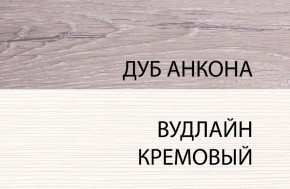 Шкаф 1DW, OLIVIA, цвет вудлайн крем/дуб анкона в Когалыме - kogalym.ok-mebel.com | фото 3