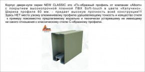 Шкаф-купе 1700 серии NEW CLASSIC K3+K3+B2+PL1 (2 ящика+1 штанга) профиль «Капучино» в Когалыме - kogalym.ok-mebel.com | фото 5