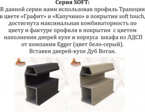 Шкаф-купе 1800 серии SOFT D1+D3+B2+PL1 (2 ящика+1штанга) профиль «Графит» в Когалыме - kogalym.ok-mebel.com | фото 11