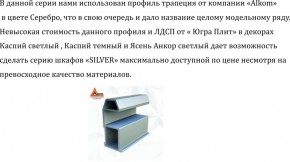 Шкаф-купе 2250 серии SILVER S5+S5+S5 B22+PL4 (по 2 ящика лев/прав+F обр.штанга) профиль «Серебро» в Когалыме - kogalym.ok-mebel.com | фото 4