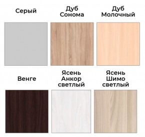 Шкаф-купе ХИТ 22-4-14-88 (420) в Когалыме - kogalym.ok-mebel.com | фото 4