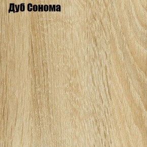 Шкаф-купе Лофт 3000 Шк30-60 (Дуб Сонома) в Когалыме - kogalym.ok-mebel.com | фото 4