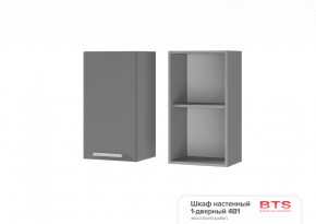 ШКАФ НАСТЕННЫЙ 1-ДВЕРНЫЙ 4В1 (400Х720Х310) КГ Крафт в Когалыме - kogalym.ok-mebel.com | фото