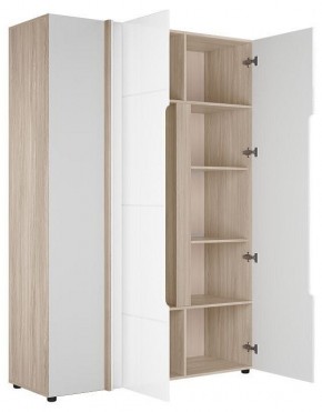 Шкаф платяной Данк в Когалыме - kogalym.ok-mebel.com | фото 2