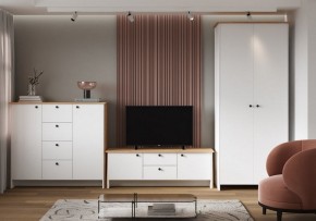 Шкаф платяной Теодора в Когалыме - kogalym.ok-mebel.com | фото 4