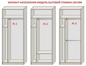Шкаф распашной серия «ЗЕВС» (PL3/С1/PL2) Серый камень/Небраска натуральный в Когалыме - kogalym.ok-mebel.com | фото 5