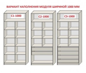 Шкаф распашной серия «ЗЕВС» (PL3/С1/PL2) Серый камень/Небраска натуральный в Когалыме - kogalym.ok-mebel.com | фото 7