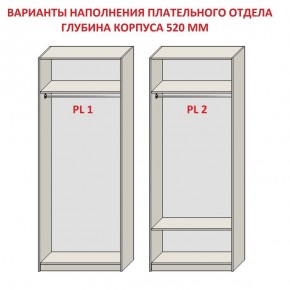 Шкаф распашной серия «ЗЕВС» (PL3/С1/PL2) Серый камень/Небраска натуральный в Когалыме - kogalym.ok-mebel.com | фото 9