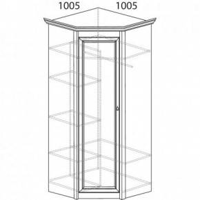 Шкаф угловой №662 "Флоренция" Фасад глухой (угол 1005*1005) Дуб оксфорд в Когалыме - kogalym.ok-mebel.com | фото 3