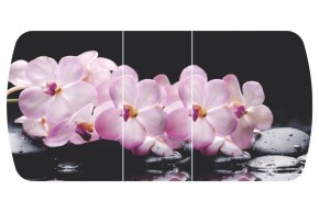 Стол Бостон-3 (Розовая Орхидея) 1100/1420*700, опора Брифинг в Когалыме - kogalym.ok-mebel.com | фото 2