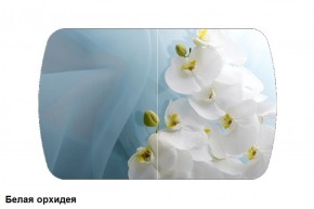 Стол Бостон 900*600 (опоры Брифинг) Стекло/фотопечать Белая Орхидея в Когалыме - kogalym.ok-mebel.com | фото