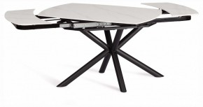 Стол обеденный Winston в Когалыме - kogalym.ok-mebel.com | фото 3