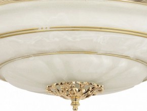 Светильник на штанге Arti Lampadari Pavia Pavia E 1.13.P40 G в Когалыме - kogalym.ok-mebel.com | фото 3