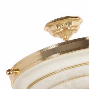 Светильник на штанге Arti Lampadari Pavia Pavia E 1.13.P40 G в Когалыме - kogalym.ok-mebel.com | фото 4