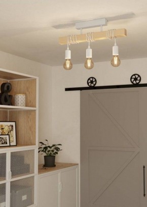 Светильник на штанге Eglo TOWNSHEND 44082 в Когалыме - kogalym.ok-mebel.com | фото 2