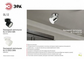 Светильник на штанге Эра OL12 GX53 SWH Б0049035 в Когалыме - kogalym.ok-mebel.com | фото 5