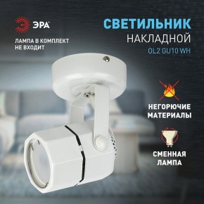 Светильник на штанге Эра OL2 GU10 WH Б0044259 в Когалыме - kogalym.ok-mebel.com | фото 3