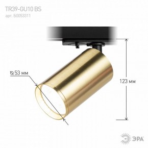 Светильник на штанге Эра  TR39-GU10 BS в Когалыме - kogalym.ok-mebel.com | фото 6