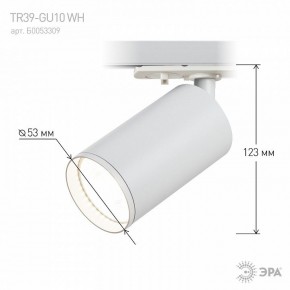 Светильник на штанге Эра  TR39-GU10 WH в Когалыме - kogalym.ok-mebel.com | фото 7