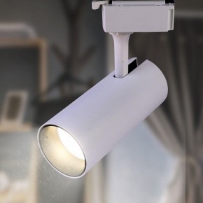 Светильник на штанге Эра  TR5-10 COB WH в Когалыме - kogalym.ok-mebel.com | фото 3