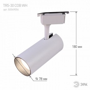 Светильник на штанге Эра  TR5-30 COB WH в Когалыме - kogalym.ok-mebel.com | фото 6