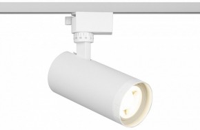 Светильник на штанге Эра  TR59 - 2040 WH в Когалыме - kogalym.ok-mebel.com | фото