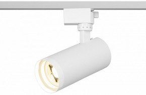 Светильник на штанге Эра  TR59 - 2040 WH в Когалыме - kogalym.ok-mebel.com | фото 5
