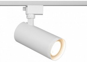Светильник на штанге Эра  TR59 - 3030 WH в Когалыме - kogalym.ok-mebel.com | фото