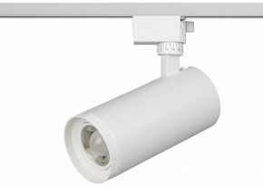 Светильник на штанге Эра  TR59 - 3030 WH в Когалыме - kogalym.ok-mebel.com | фото 2