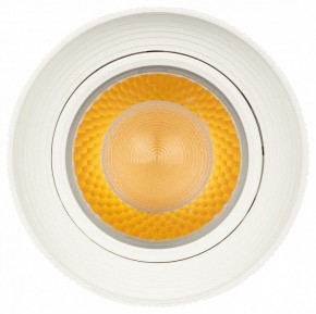 Светильник на штанге Эра  TR59 - 3030 WH в Когалыме - kogalym.ok-mebel.com | фото 3