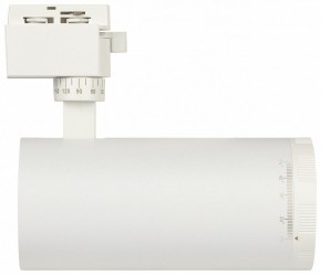 Светильник на штанге Эра  TR59 - 3030 WH в Когалыме - kogalym.ok-mebel.com | фото 4