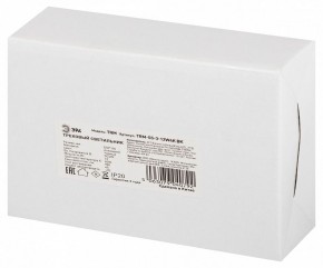 Светильник на штанге Эра  TRM-S5-3-12W4K-BK в Когалыме - kogalym.ok-mebel.com | фото 8