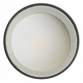 Светильник на штанге Feron ML1001 51371 в Когалыме - kogalym.ok-mebel.com | фото 4