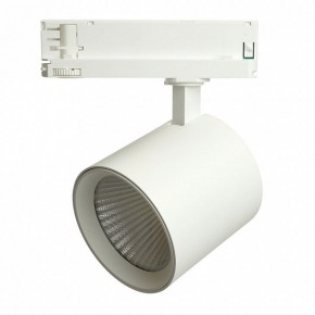 Светильник на штанге Feron TR Reflex 52058 в Когалыме - kogalym.ok-mebel.com | фото 2