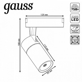 Светильник на штанге Gauss Track Light TR060 в Когалыме - kogalym.ok-mebel.com | фото 5