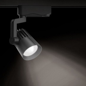 Светильник на штанге Gauss Track Light TR061 в Когалыме - kogalym.ok-mebel.com | фото 2