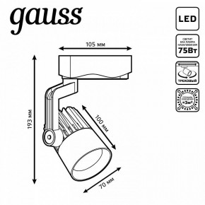 Светильник на штанге Gauss Track Light TR061 в Когалыме - kogalym.ok-mebel.com | фото 6