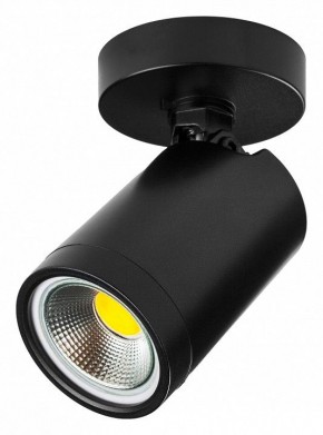 Светильник на штанге Lightstar Rullo 213407 в Когалыме - kogalym.ok-mebel.com | фото