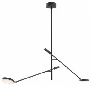 Светильник на штанге Maytoni Fad MOD070CL-L15B3K1 в Когалыме - kogalym.ok-mebel.com | фото