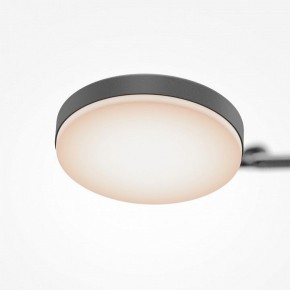 Светильник на штанге Maytoni Fad MOD070CL-L15B3K1 в Когалыме - kogalym.ok-mebel.com | фото 7