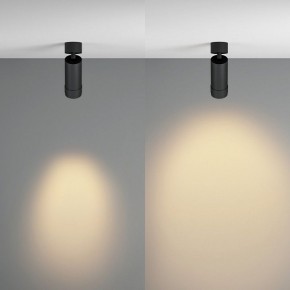 Светильник на штанге Maytoni Focus Zoom C055CL-L12W2.7K-Z-B в Когалыме - kogalym.ok-mebel.com | фото 3