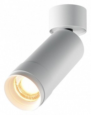 Светильник на штанге Maytoni Focus Zoom C055CL-L12W2.7K-Z-W в Когалыме - kogalym.ok-mebel.com | фото