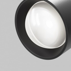 Светильник на штанге Maytoni Lens TR217-4-15WTW-DD-B в Когалыме - kogalym.ok-mebel.com | фото 12